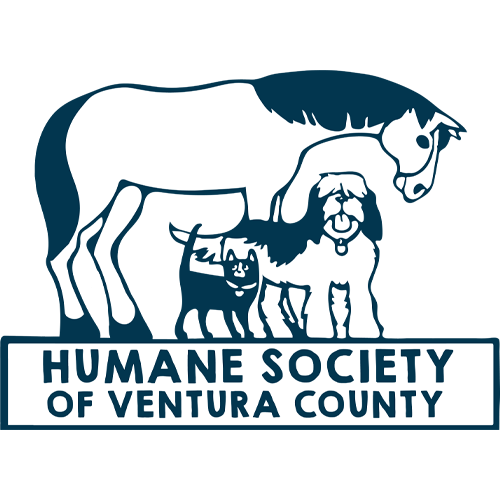 Alexander GMC in OXNARD CA