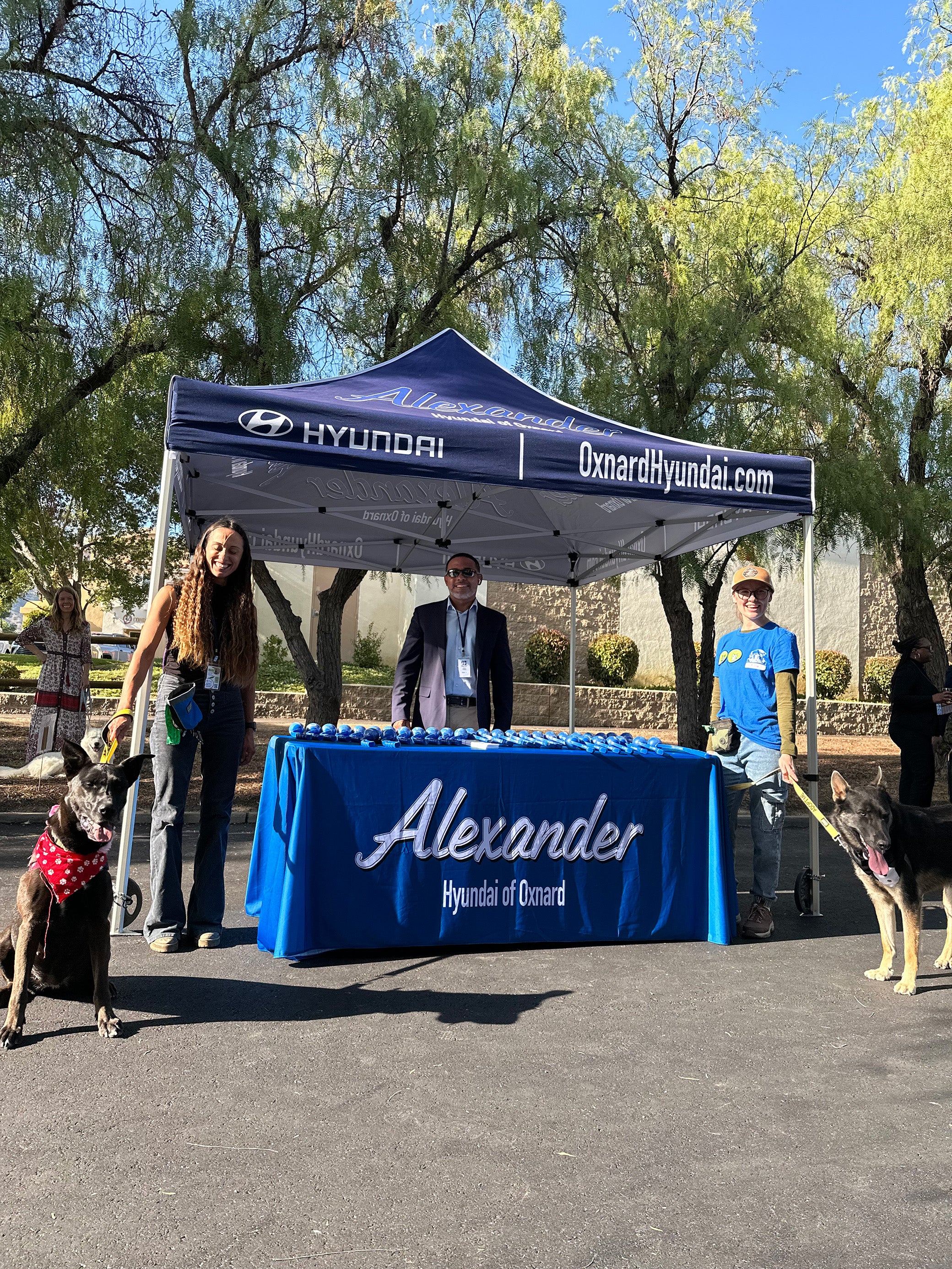 Alexander GMC in OXNARD CA